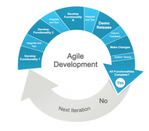 Agile development is one way to reduce custom software risk