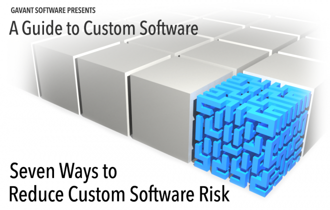 Seven Ways to Reduce Custom Software Risk